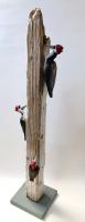 Pole of Woodpeckers by Stan Peterson