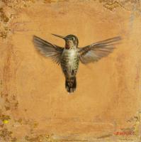 Hummingbird Flight No. 3 by Tyler Swain