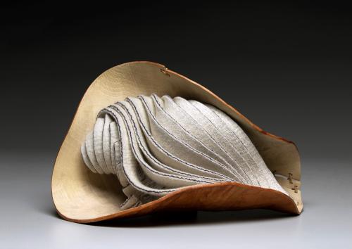 Seashell by Christian Burchard
