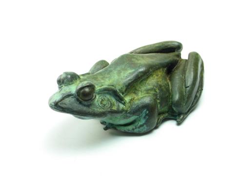 Basking Frog by Steve%20Worthington